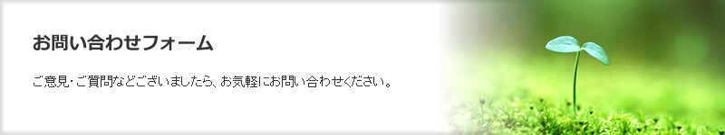 お問い合せフォーム　ご意見・ご質問などございましたら、お気軽にお問い合わせください。